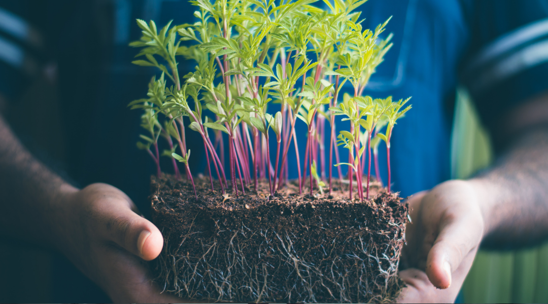 лучшая версия себя